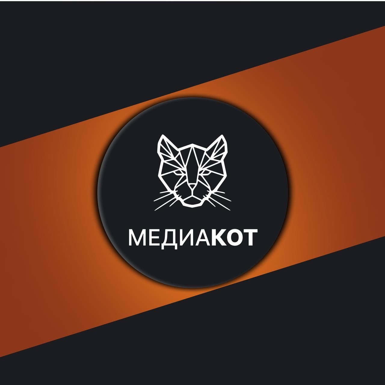 Медиацентр МЕДИАКОТ